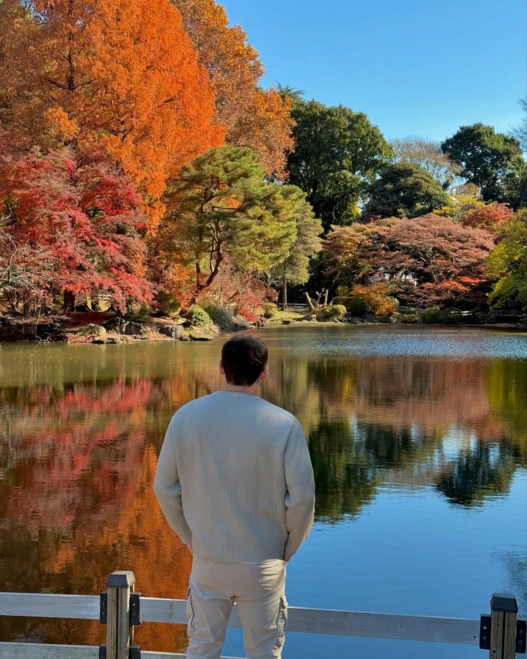 Post 8 by Carl Silverstone on Instagram (image)