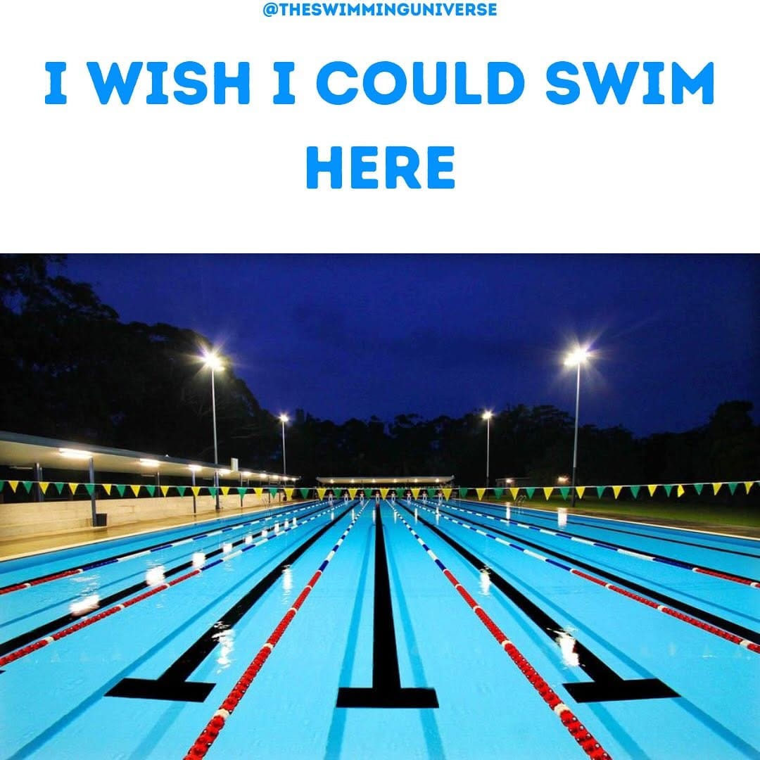 Post 9 by Swimming Universe on Instagram (image)