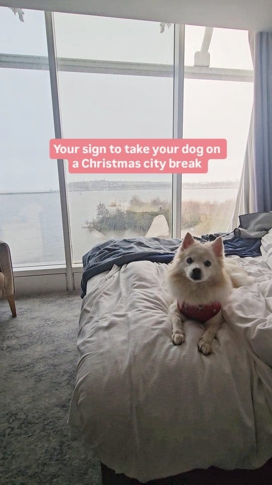 Post 4 by ⓦⓔⓝⓓⓔⓔ & ⓜⓐⓥⓔⓡⓘⓒⓚ on Instagram (video)