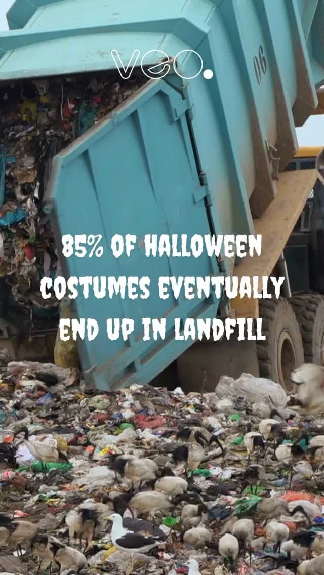 Post 7 by Veo® | Lifestyle, consciously curated on Instagram (video)