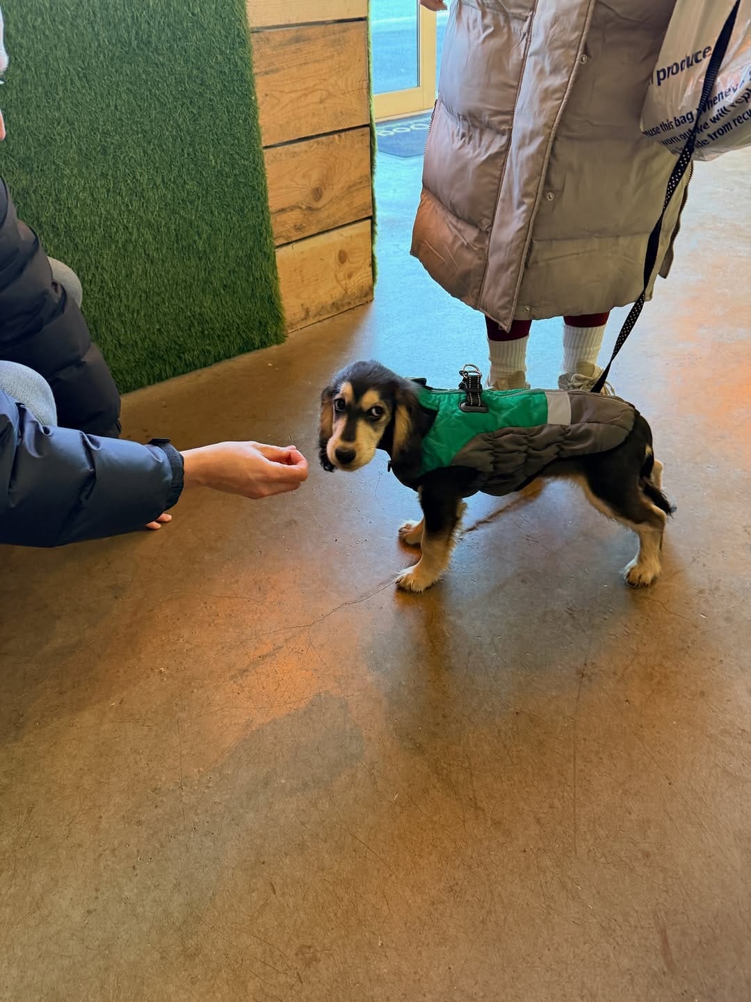 Post 1 by Im With The Dog on Instagram (carousel)