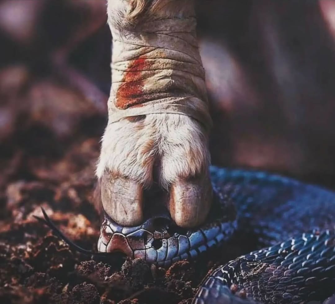 Post 7 by Anthorazy Nnaji on Instagram (image)