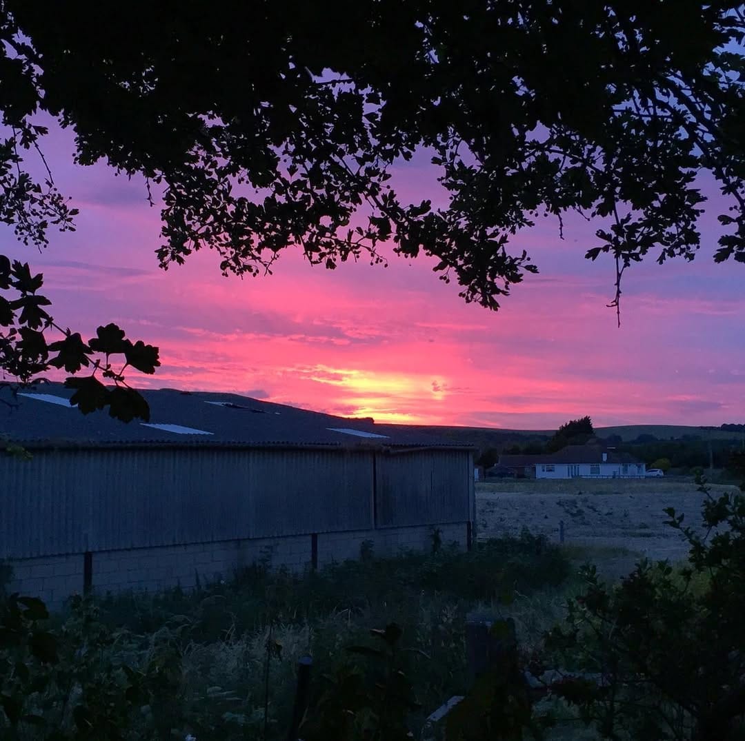 Post 9 by David Blake on Instagram (image)