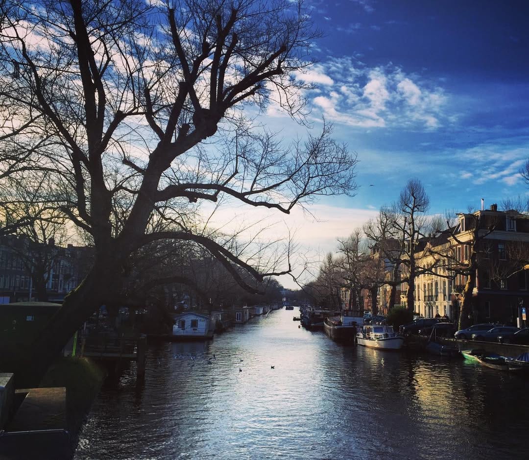 Post 7 by David Blake on Instagram (image)