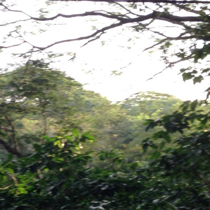 Post 7 by Mohamad Jlelati on Instagram (video)