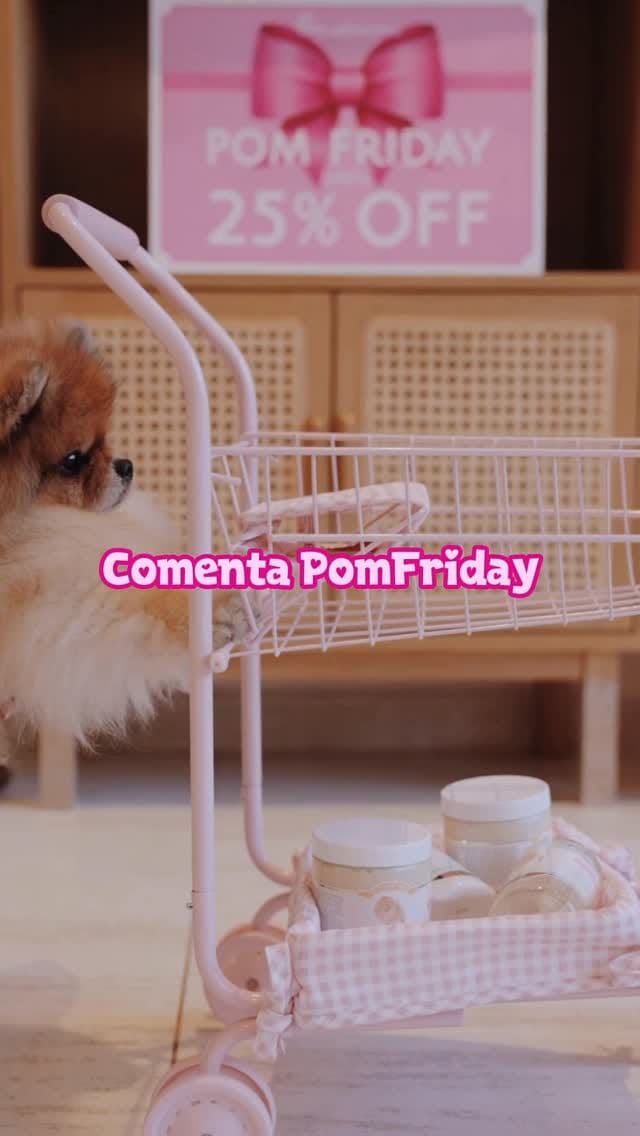 Post 7 by Pomeranian Beauty on Instagram (video)