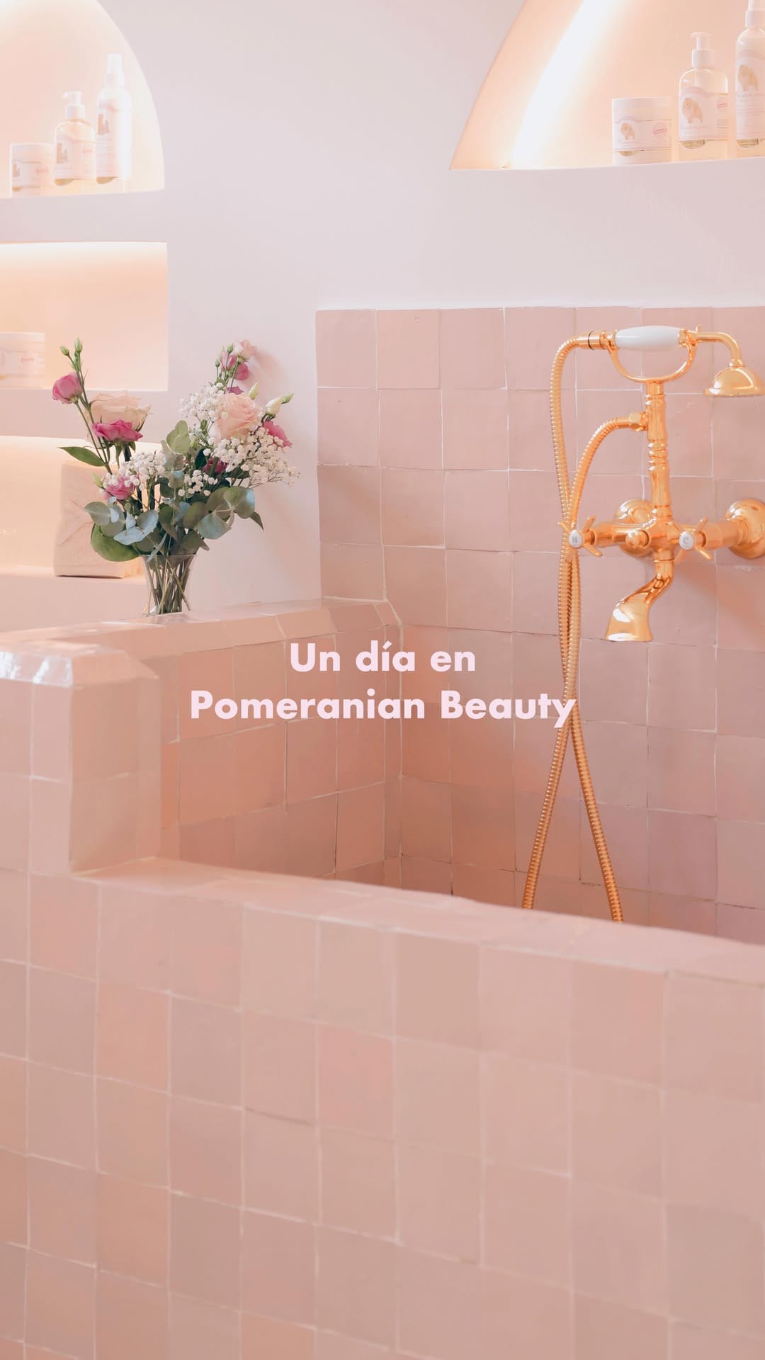Post 10 by Pomeranian Beauty on Instagram (video)