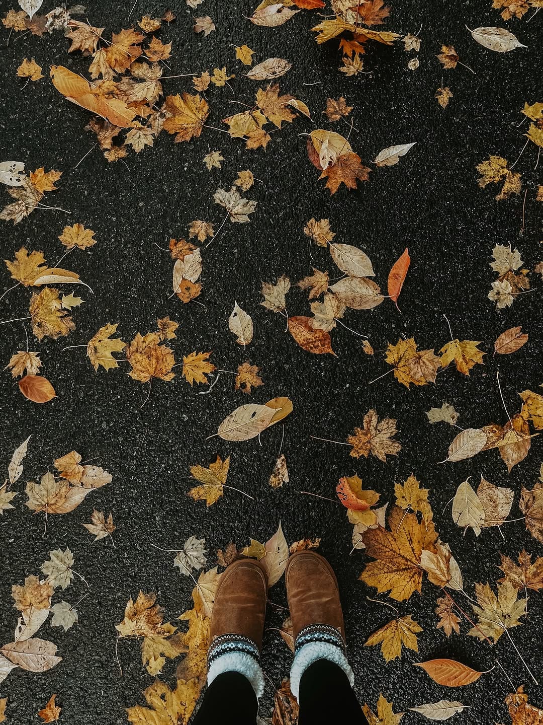 Post 6 by Lila on Instagram (image)