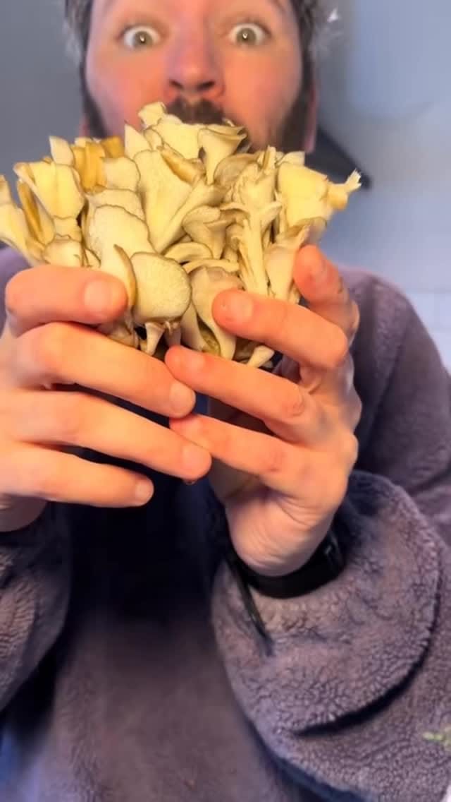 Post 4 by Alan Clabby on Instagram (video)