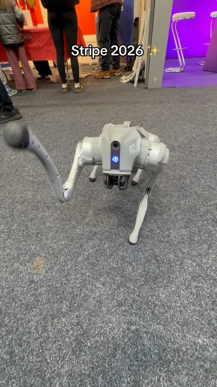 Post 4 by Explorium Ireland on Instagram (video)