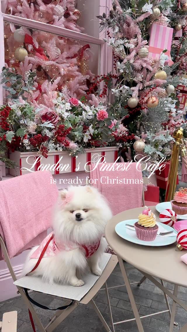 Post 2 by Candy Nicole 🤍 on Instagram (video)