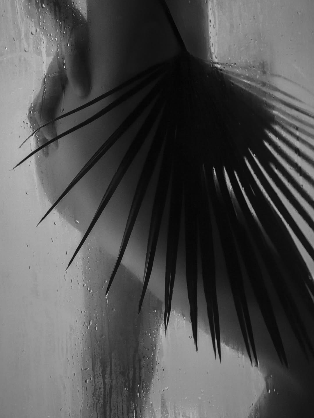 Post 2 by Monika Sedziute on Instagram (image)
