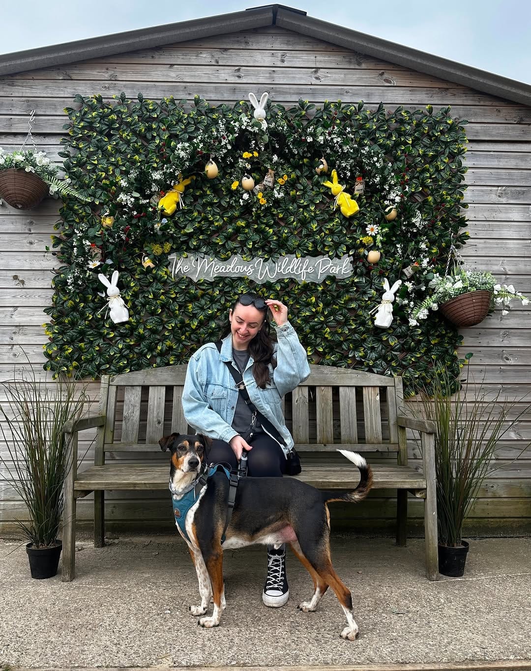 Post 8 by Beth❀ on Instagram (carousel)