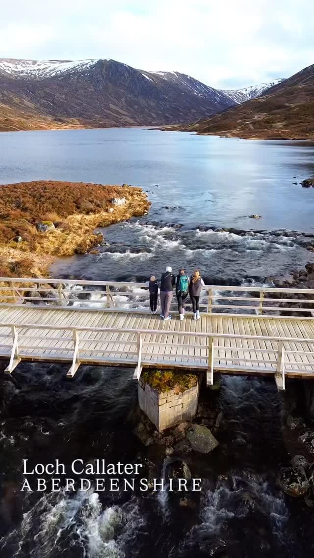 Post 4 by The Forbes Family on Instagram (video)