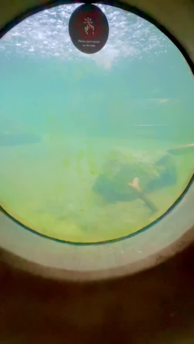 Post 2 by Sandip Ghule on Instagram (video)