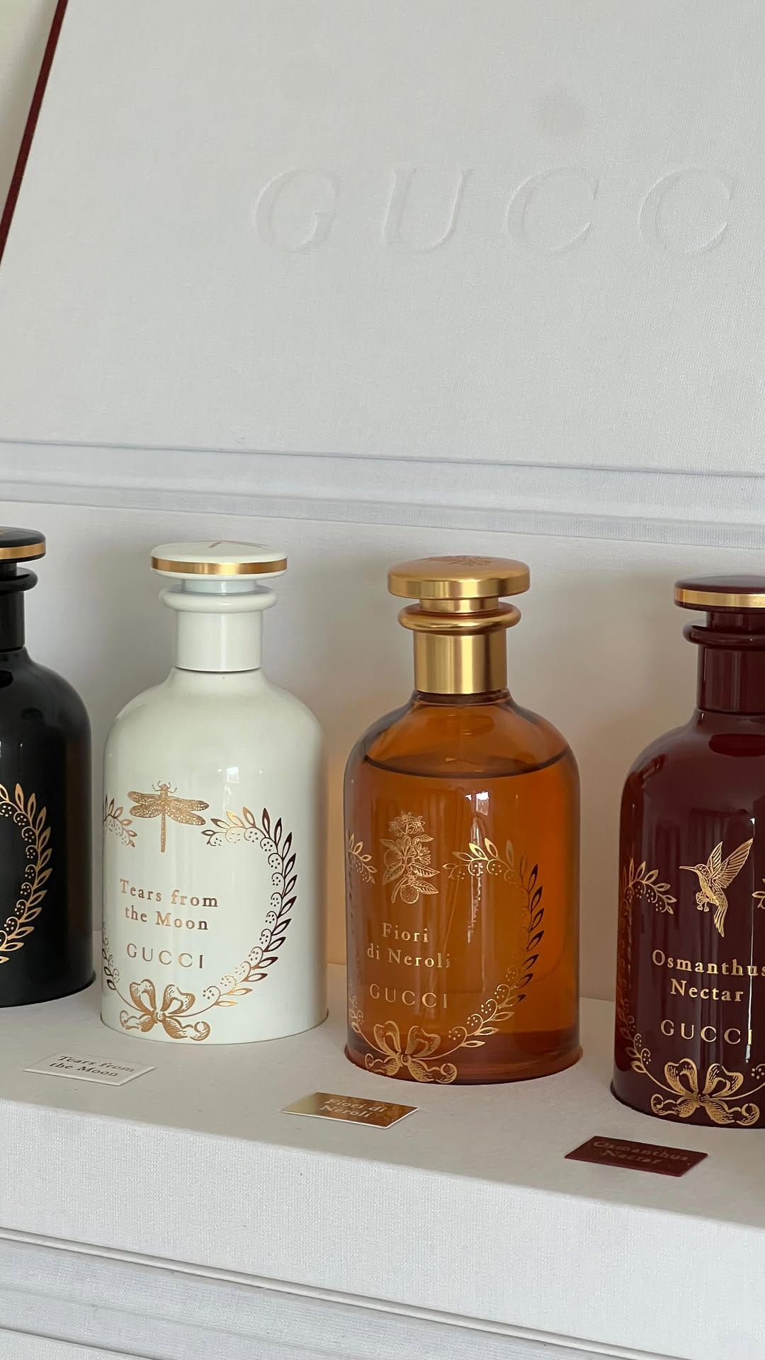Post 9 by Josephine | Perfume, Lifestyle on Instagram (video)