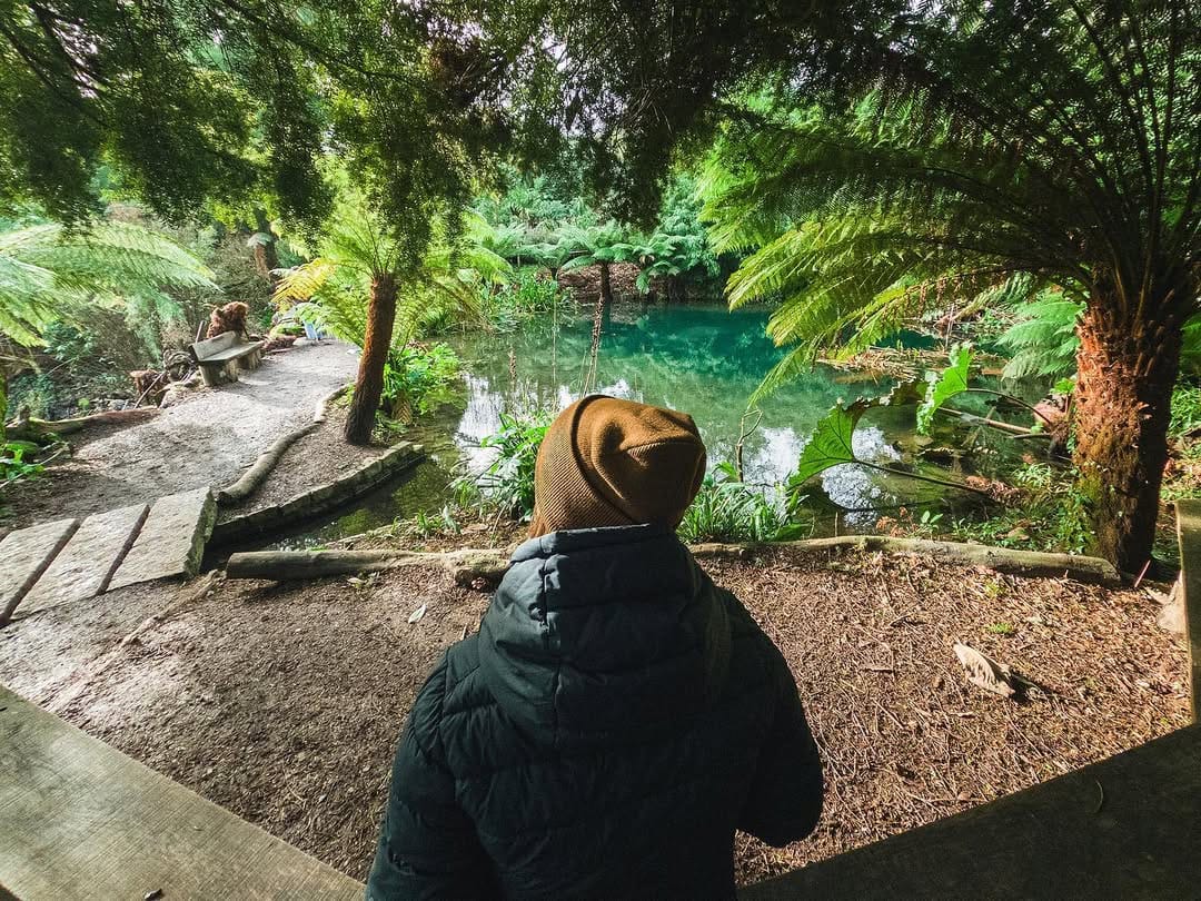 Post 8 by Joshua Bond on Instagram (image)