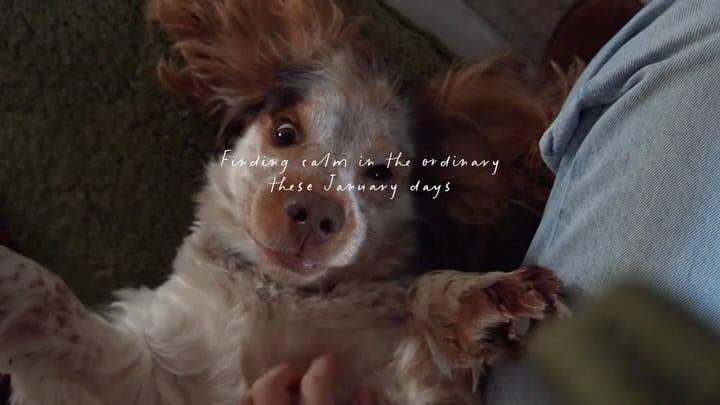 Post 1 by Masha Peliovina on Instagram (video)