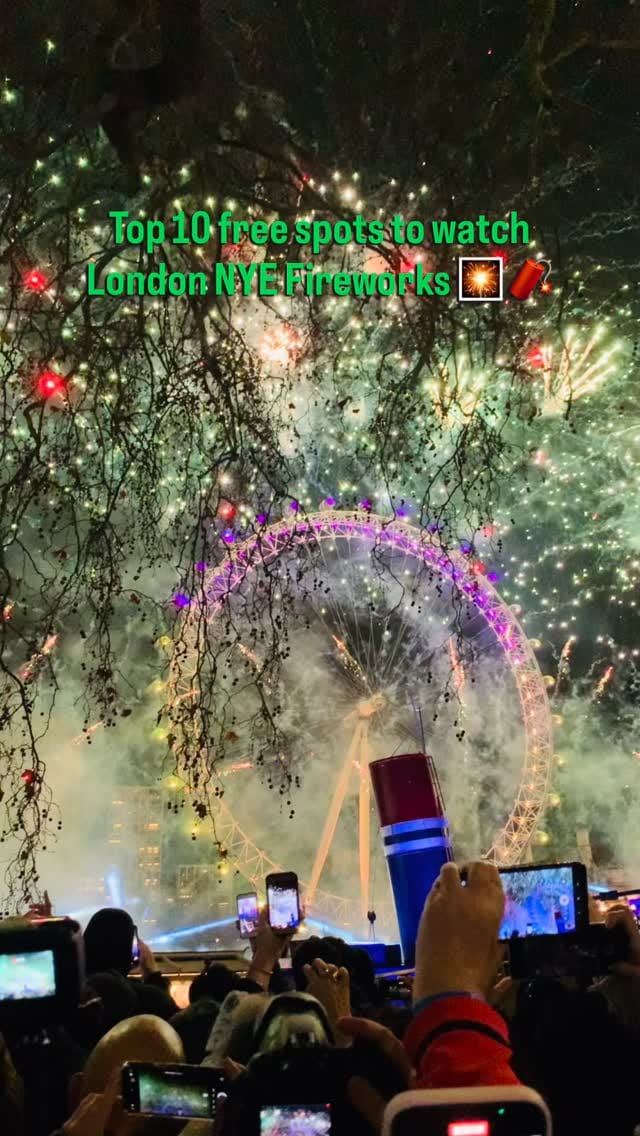 Post 6 by Priyanka Singla on Instagram (video)