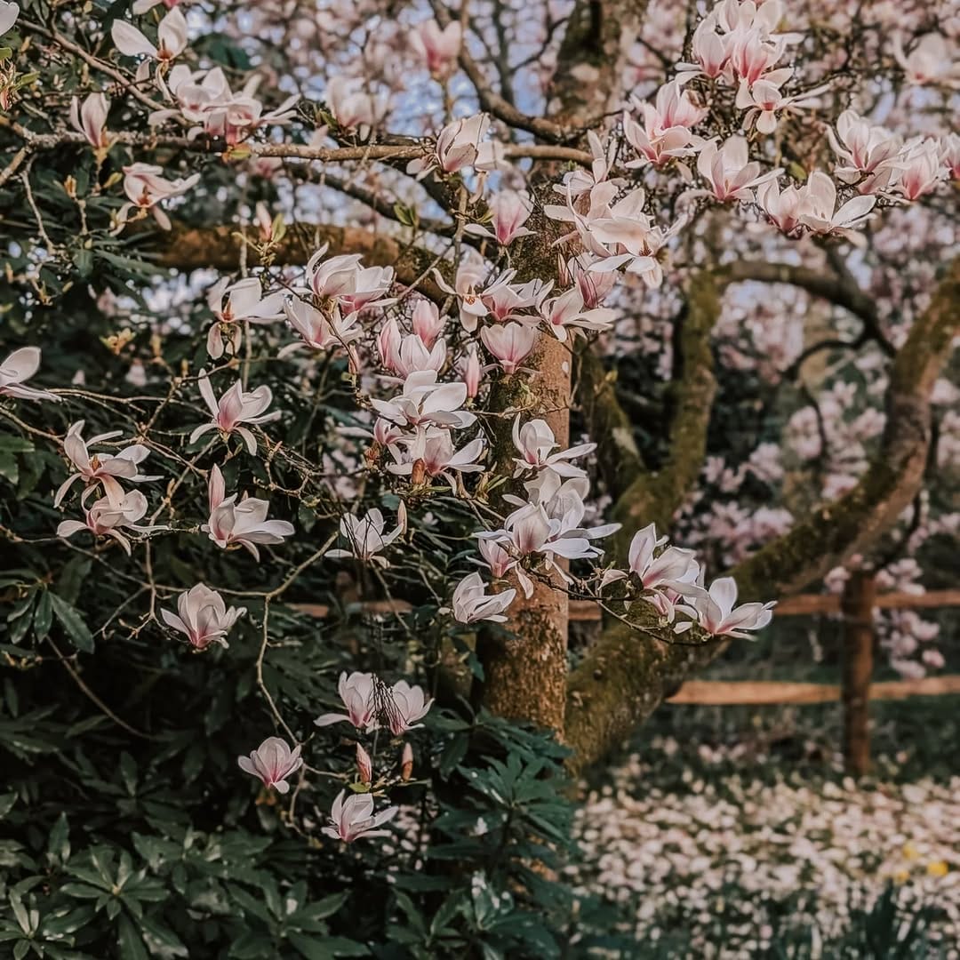 Post 7 by Fiona Kay // Content Creator on Instagram (carousel)