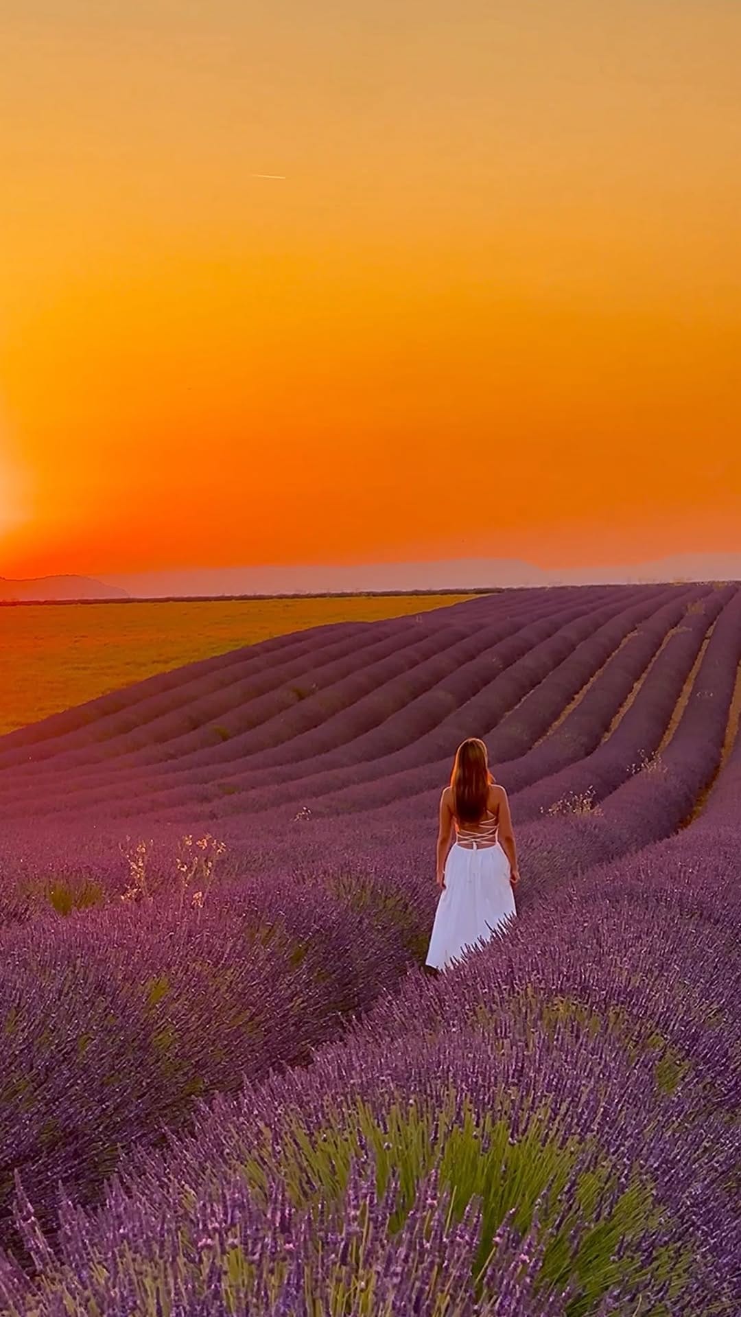 Post 6 by Where To Find Me | Maz on Instagram (video)