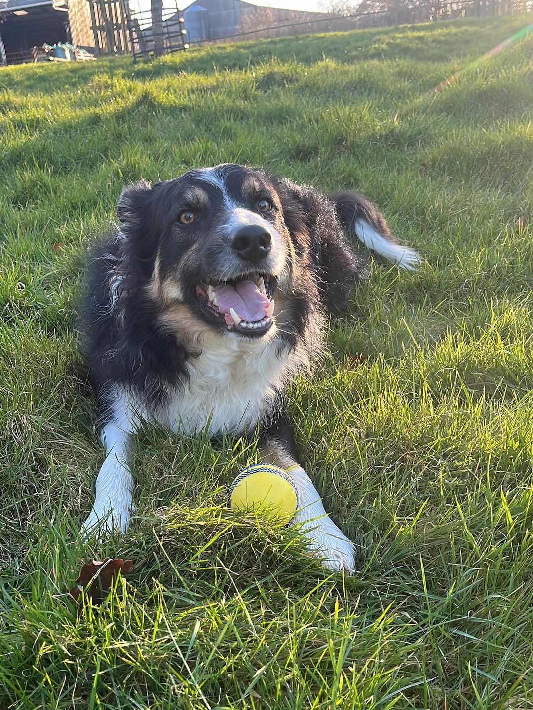 Post 3 by The Cotswolds Gentleman on Instagram (carousel)