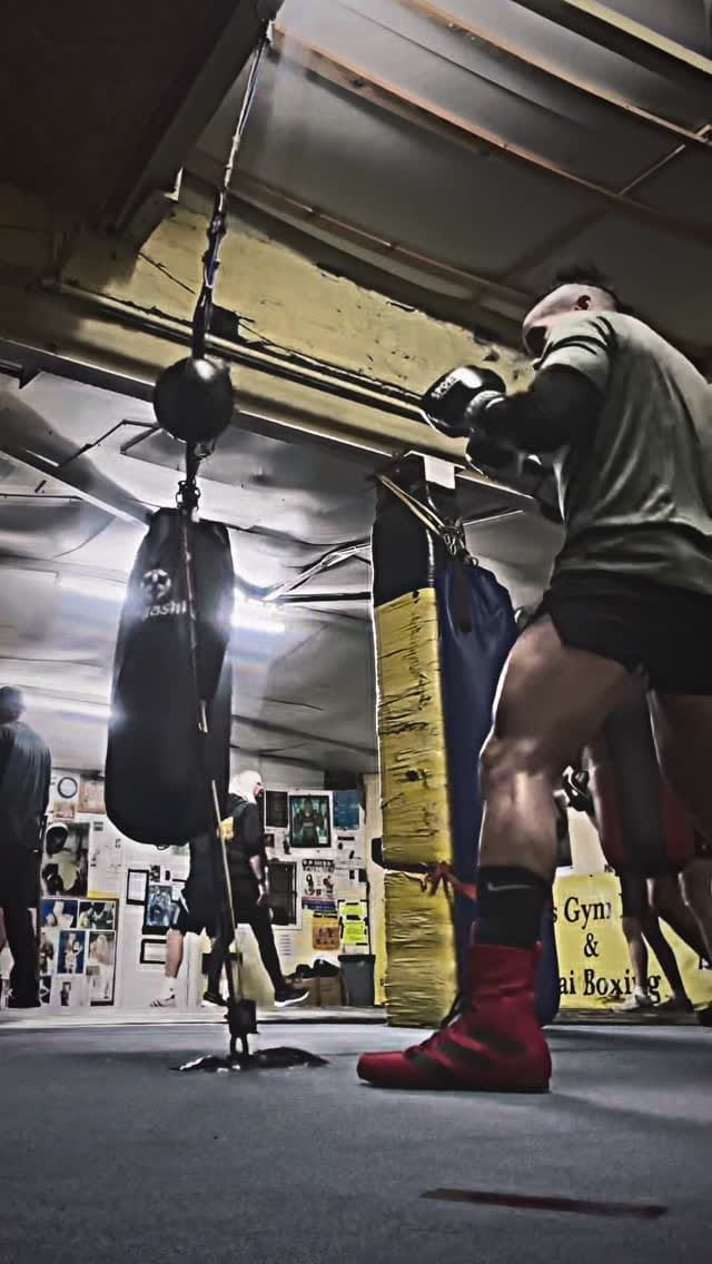 Post 6 by Mo on Instagram (video)
