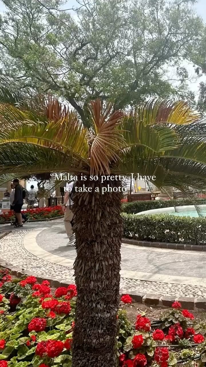 Post 7 by Sofia ✨💫 on Instagram (video)