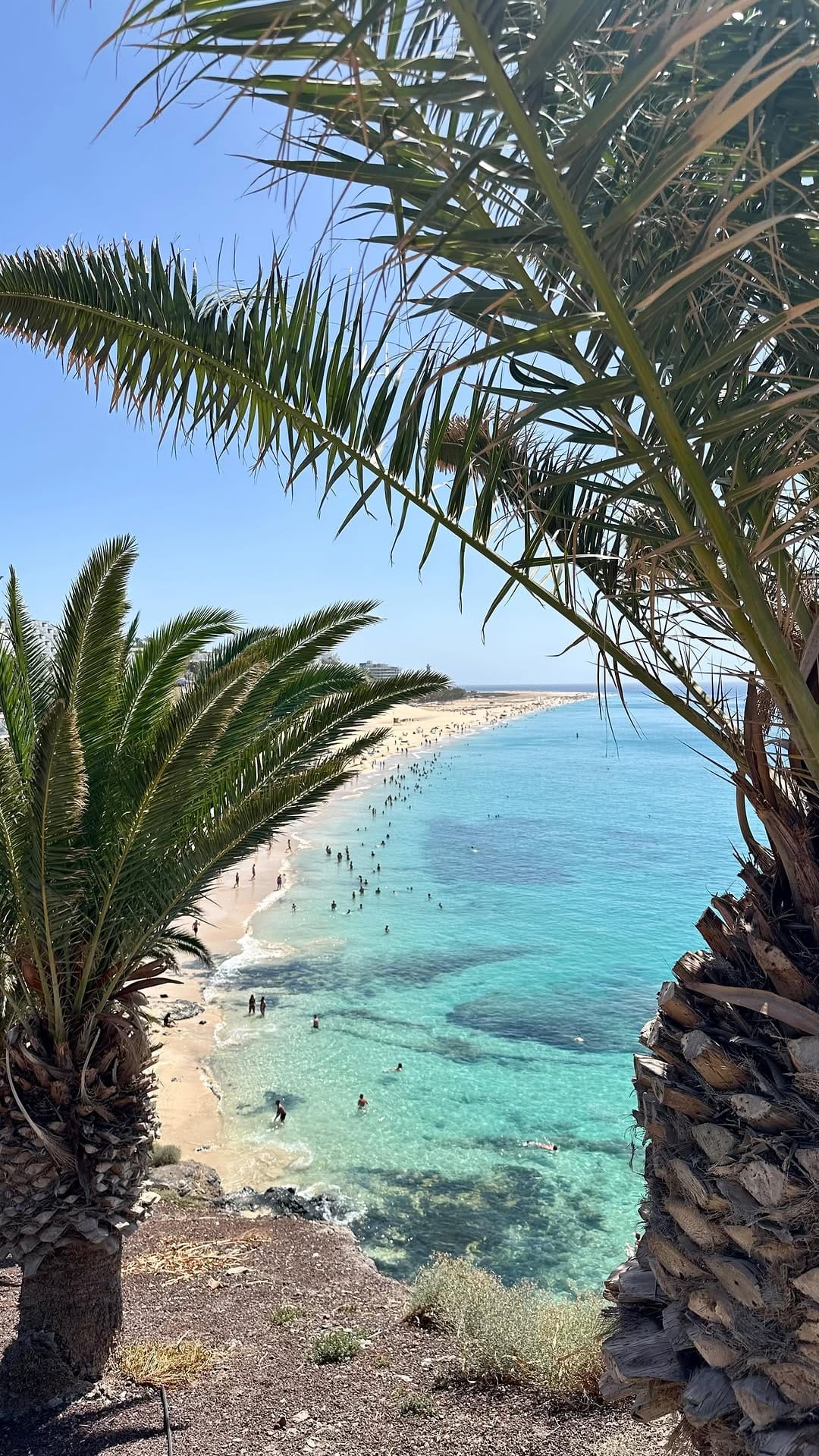 Post 9 by Chiara Piolotto on Instagram (video)
