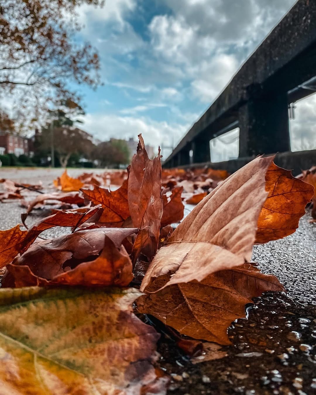 Post 4 by Carlie + Brady London | SV Valinor on Instagram (image)