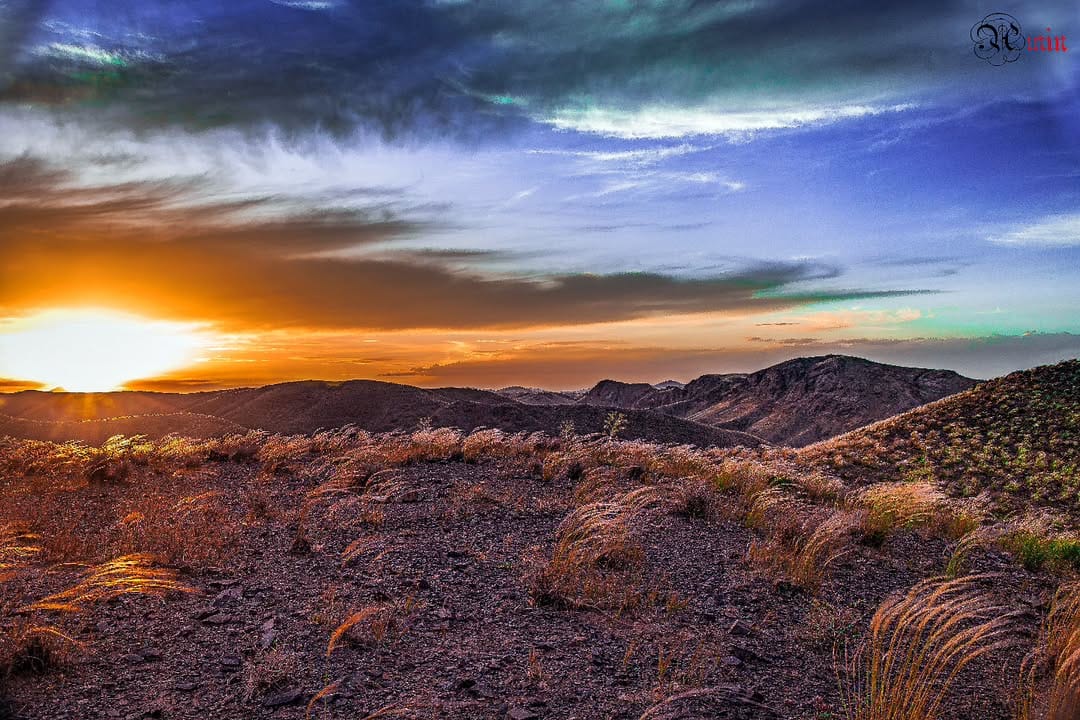 Post 10 by Amin on Instagram (image)