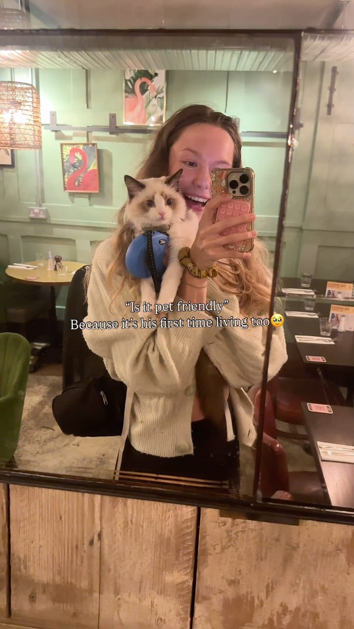 Post 9 by Atticus🐱 & Lois👸🏽 | Cat life & adventures on Instagram (video)