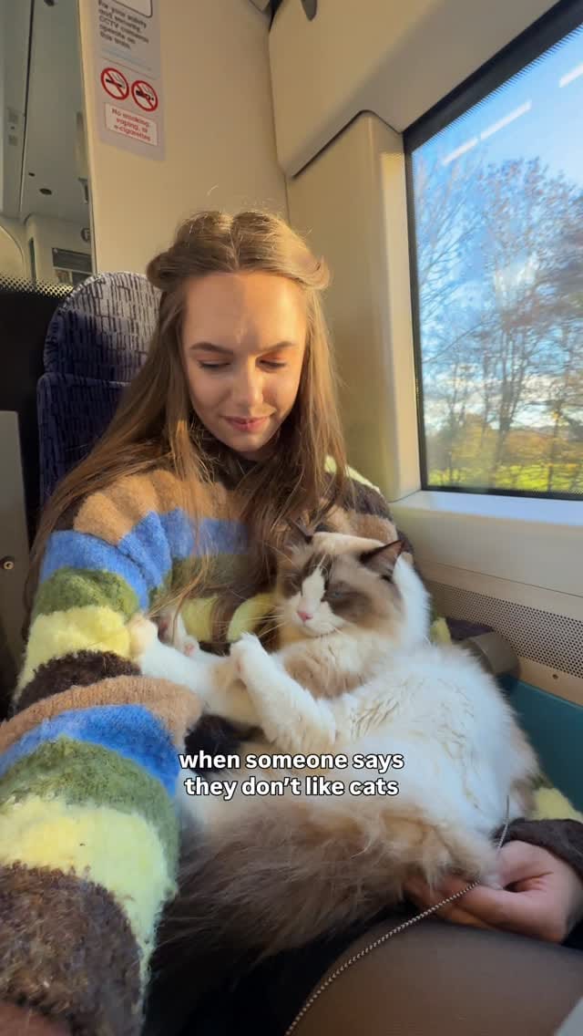 Post 7 by Atticus🐱 & Lois👸🏽 | Cat life & adventures on Instagram (video)