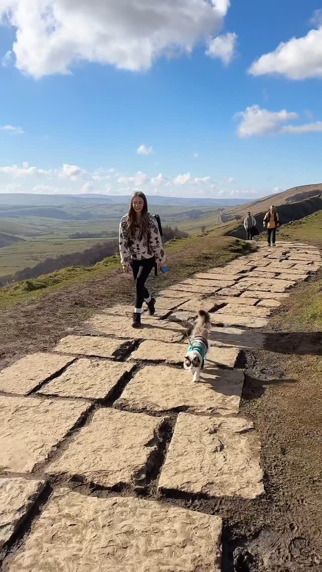 Post 10 by Atticus🐱 & Lois👸🏽 | Cat life & adventures on Instagram (video)