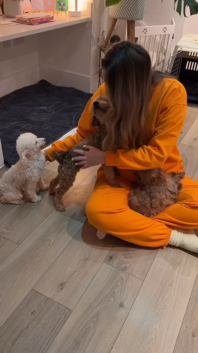 Post 1 by JADE GREEN VEGAN on Instagram (video)
