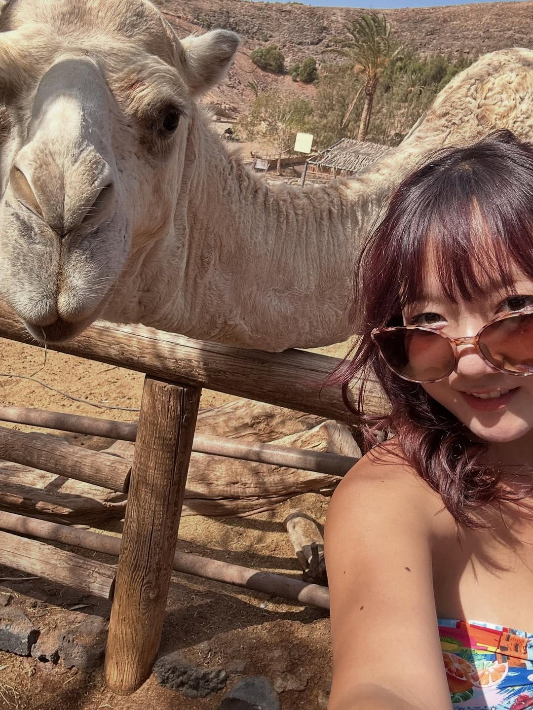 Post 8 by kyoka 京佳 on Instagram (carousel)