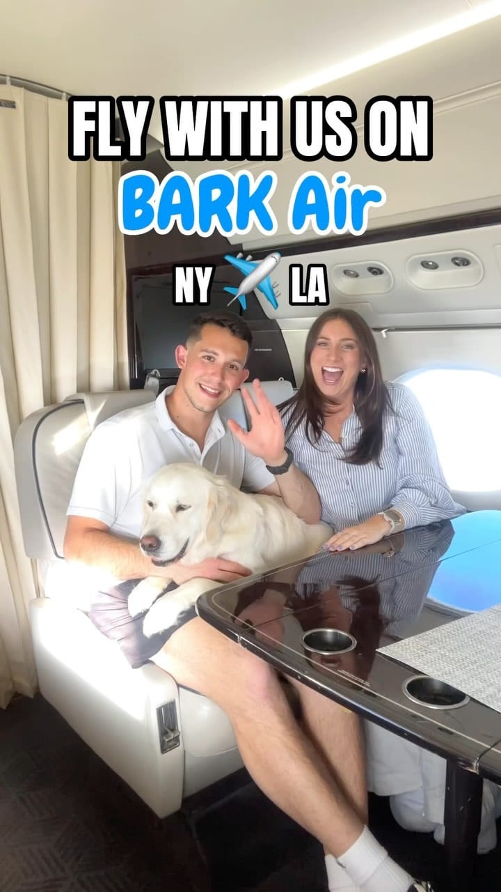 Post 9 by Paulie & Bri | Dog Friendly Lifestyle on Instagram (video)