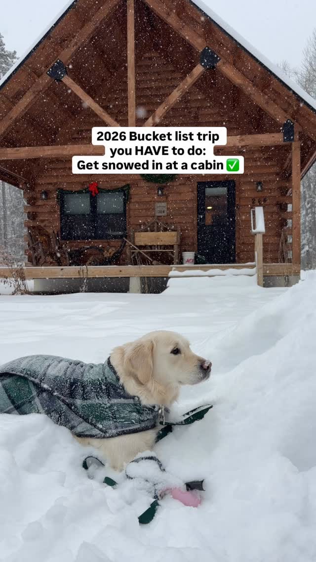 Post 4 by Paulie & Bri | Dog Friendly Lifestyle on Instagram (video)