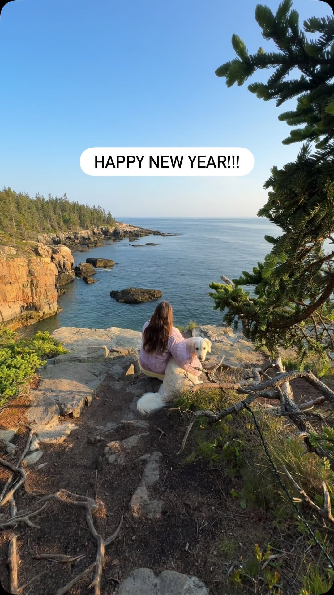 Post 3 by Paulie & Bri | Dog Friendly Lifestyle on Instagram (video)