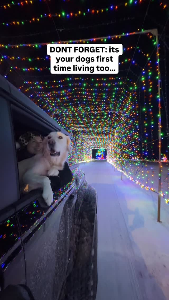 Post 7 by Paulie & Bri | Dog Friendly Lifestyle on Instagram (video)