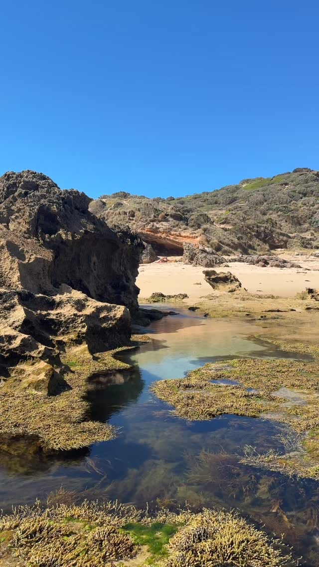 Post 3 by Kate Shanasy on Instagram (video)