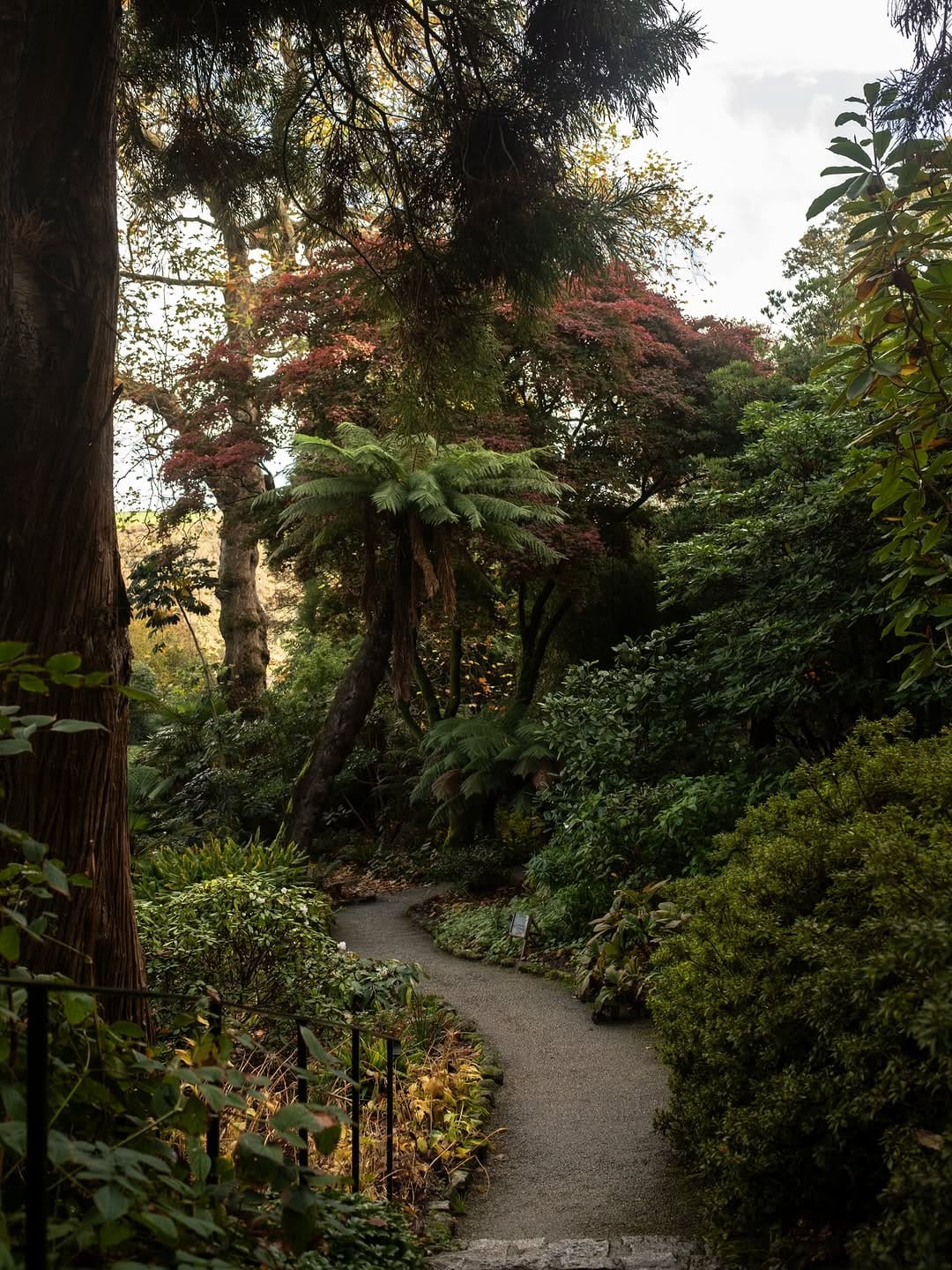 Post 2 by Frankie Thomas | Hospitality Photographer on Instagram (carousel)