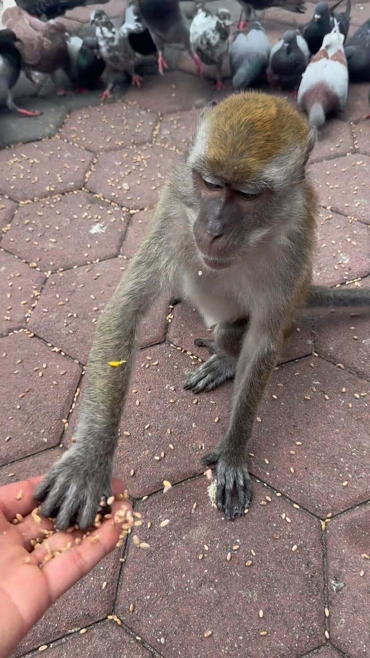 Post 9 by 𝙀𝙙 𝙈𝙩𝙯 | Travel Creator on Instagram (video)