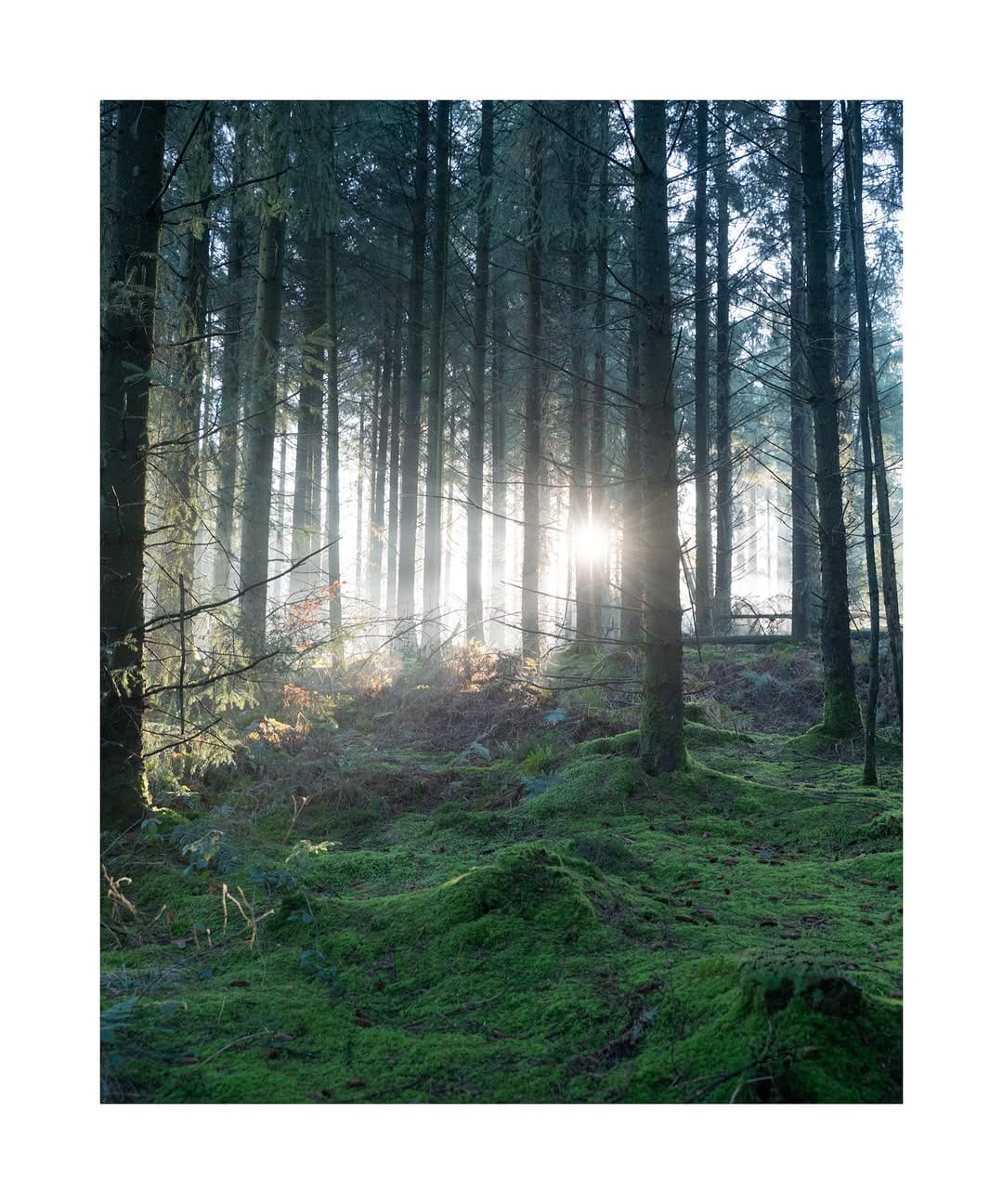 Post 2 by The Bristol Nomad on Instagram (image)