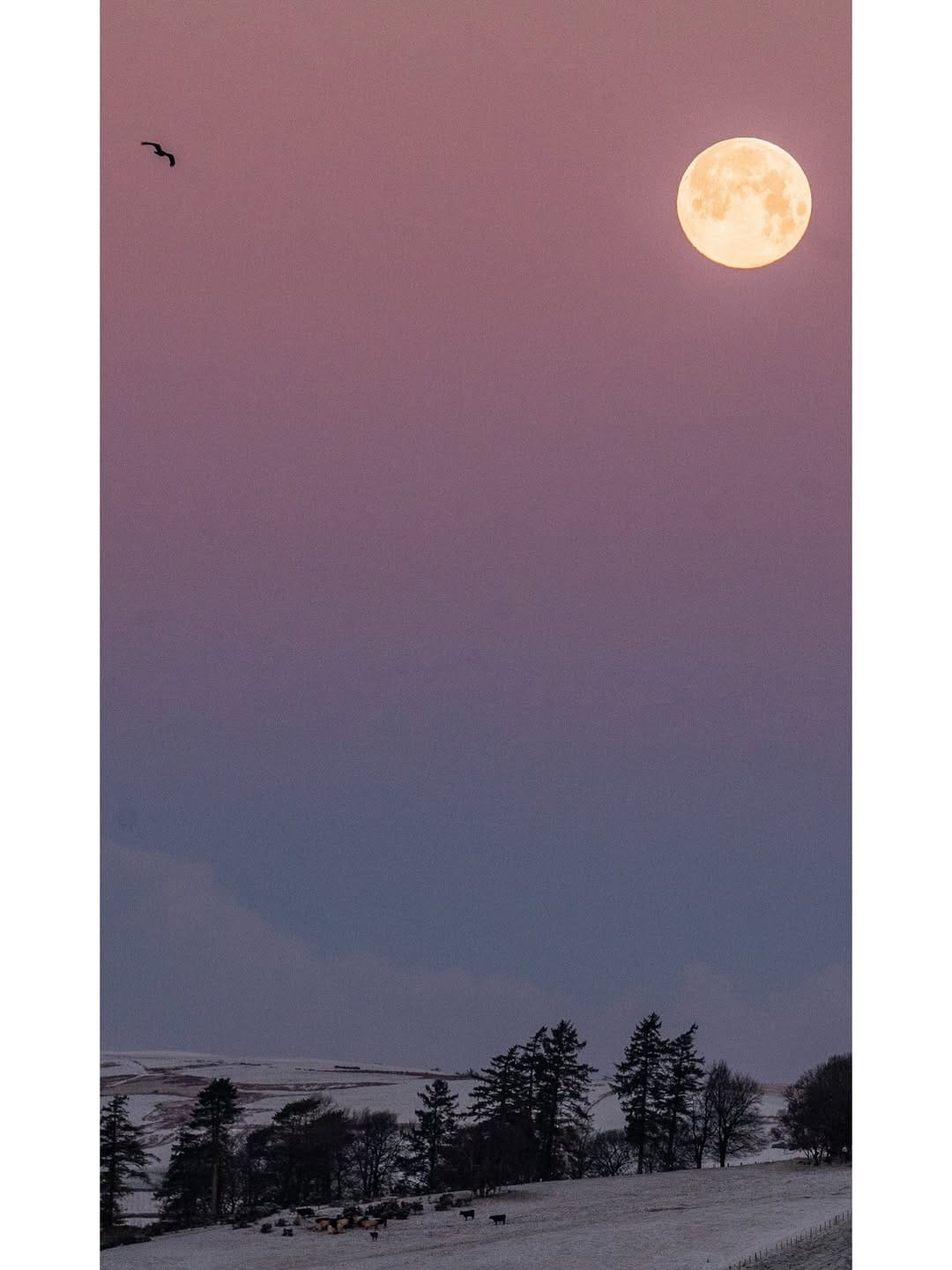Post 4 by The Bristol Nomad on Instagram (image)