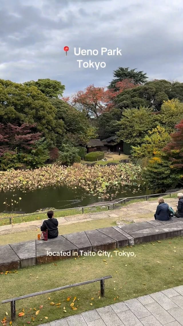 Post 5 by Lydia ✈ Travel on Instagram (video)
