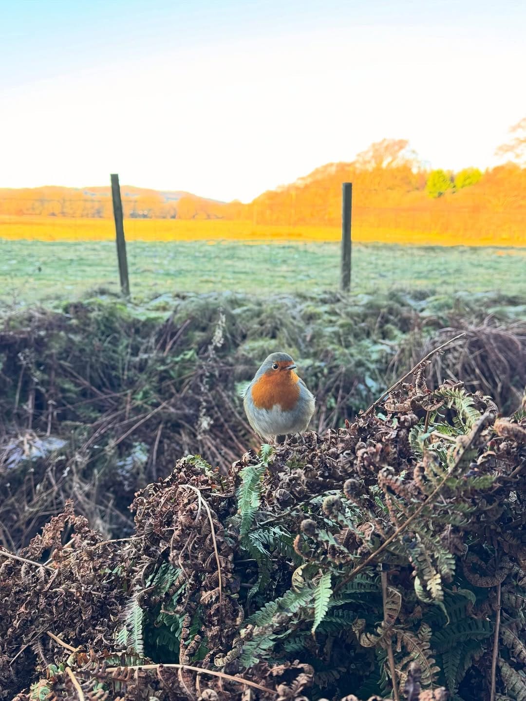 Post 5 by Stacey Ramsay on Instagram (image)