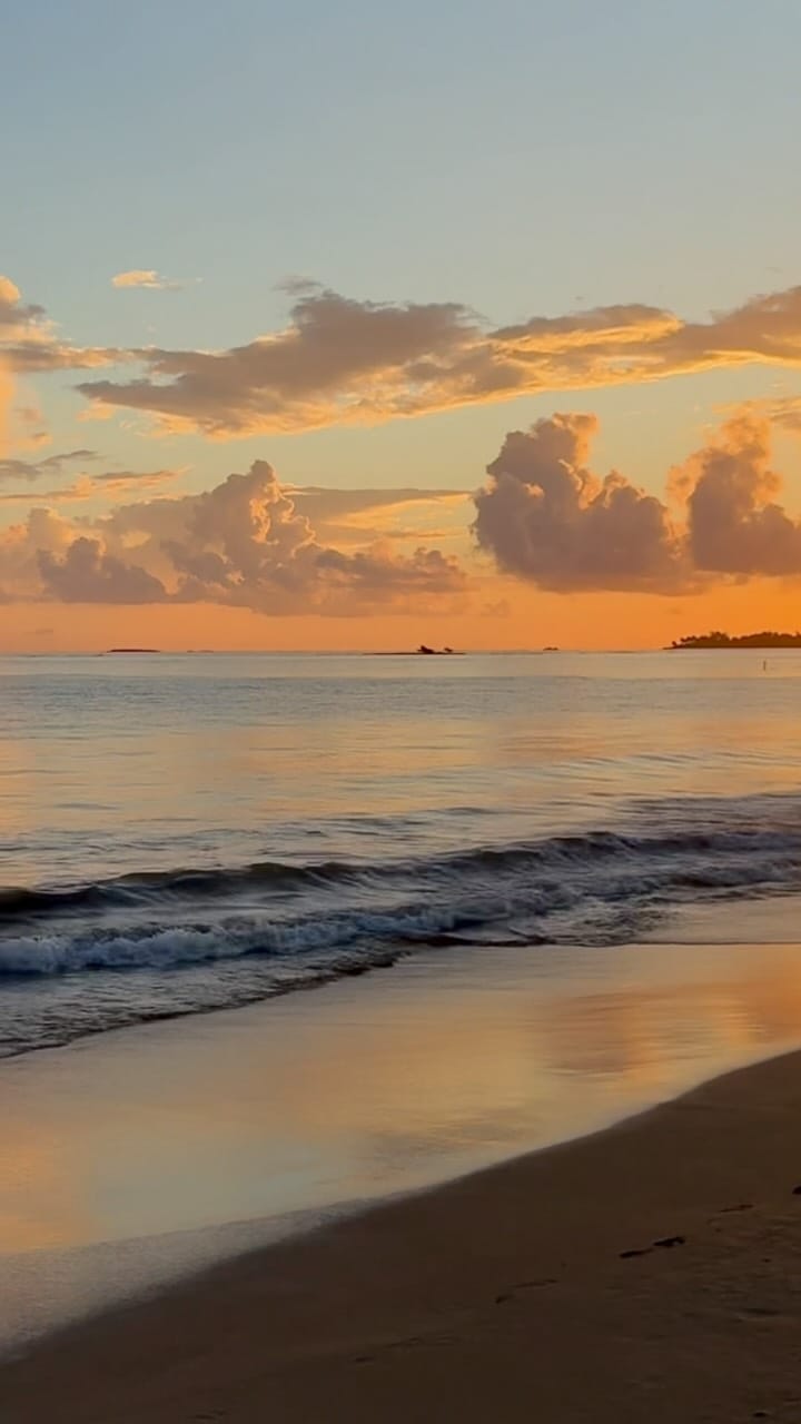 Post 4 by Katherine Penaherrera || Lifestyle Content Creator ✨ on Instagram (video)