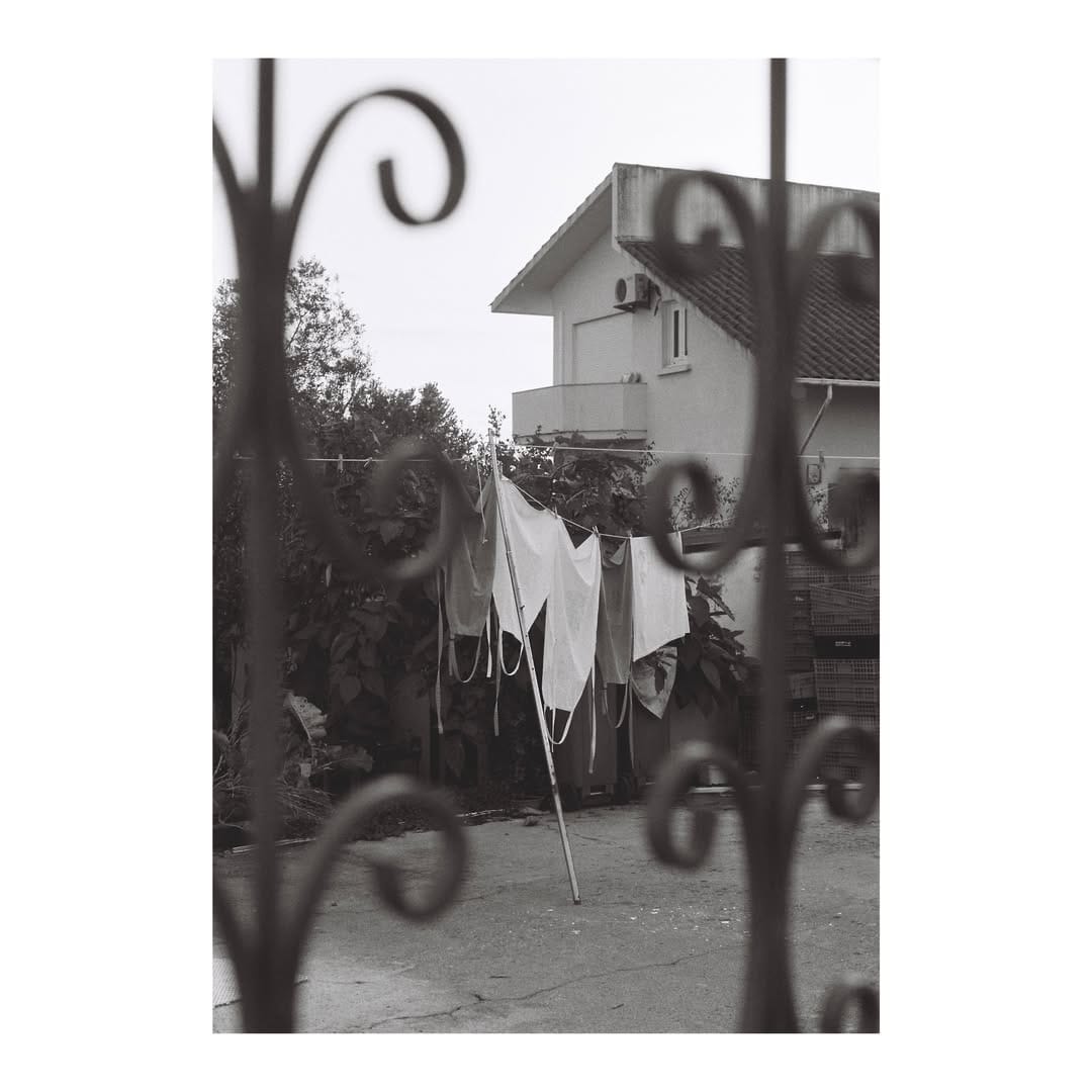 Post 10 by Michele Silva | Photographer on Instagram (image)