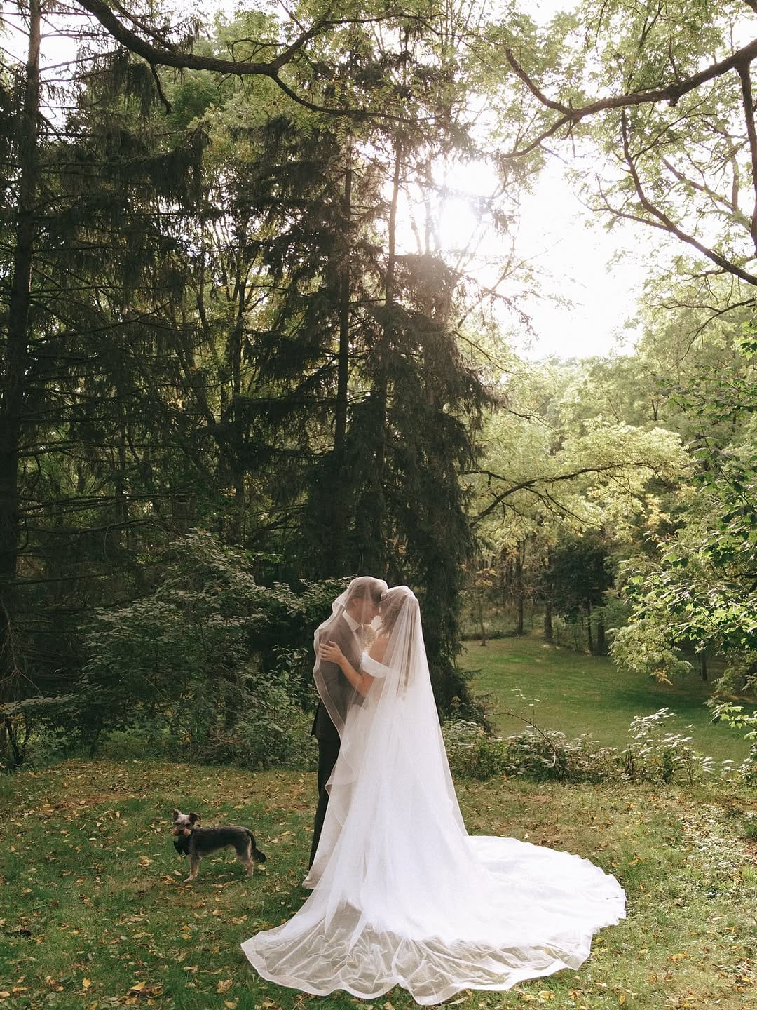 Post 7 by Wedding Photographer | Taylor Holly on Instagram (image)